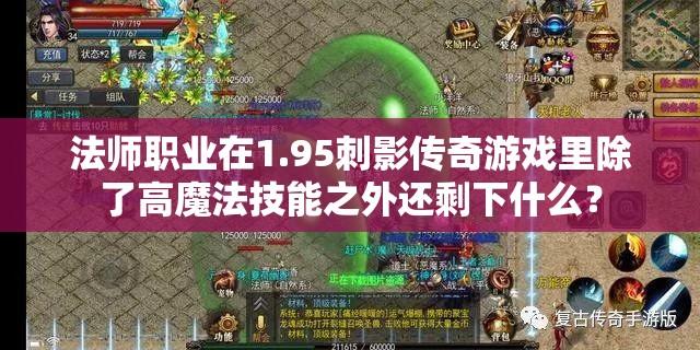 法师职业在1.95刺影传奇游戏里除了高魔法技能之外还剩下什么？