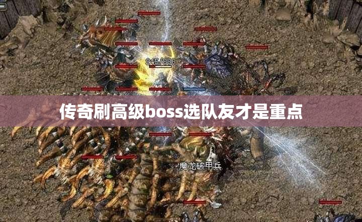 传奇刷高级boss选队友才是重点