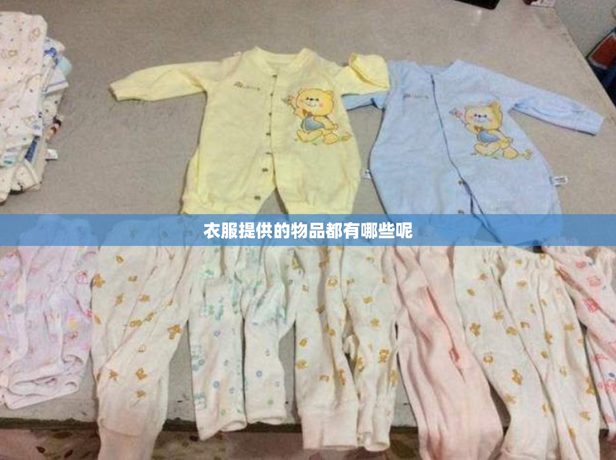 衣服提供的物品都有哪些呢