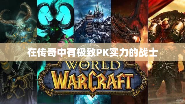 在传奇中有极致PK实力的战士