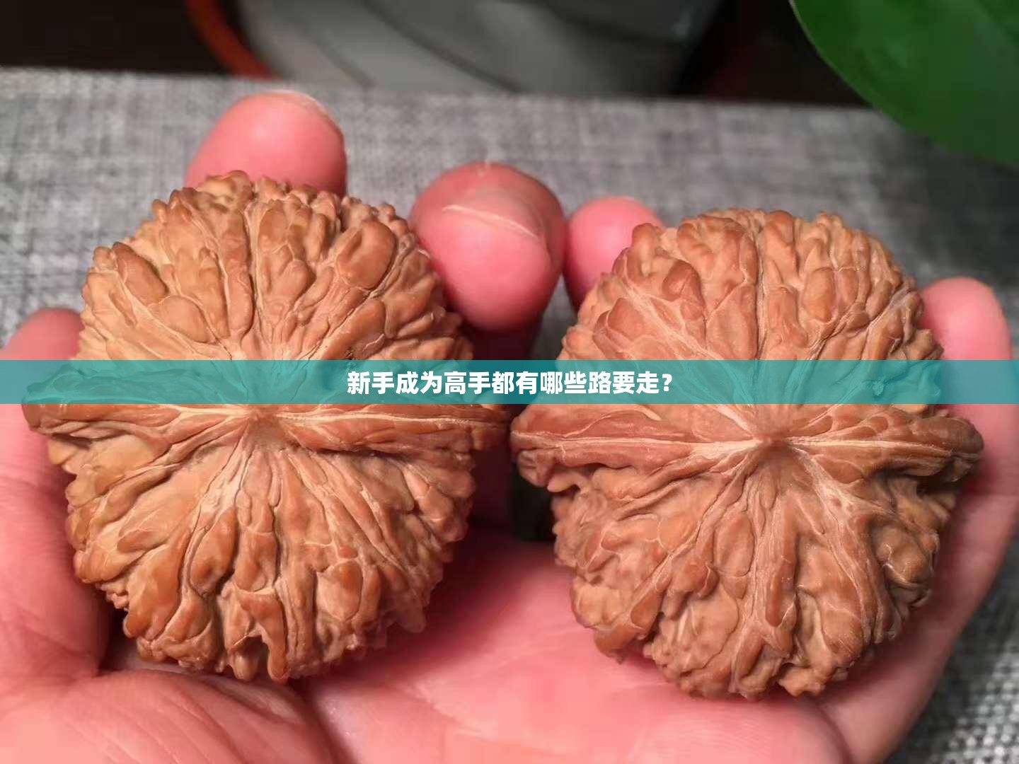 新手成为高手都有哪些路要走？